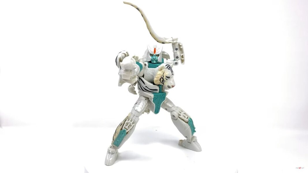 kingdom tigatron pre order